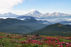 Trekking to Nalychevo Valley. Avachinsky Volcano